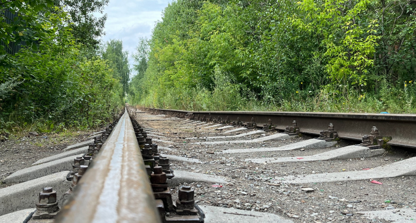 В Коми мужчина погиб под колесами поезда