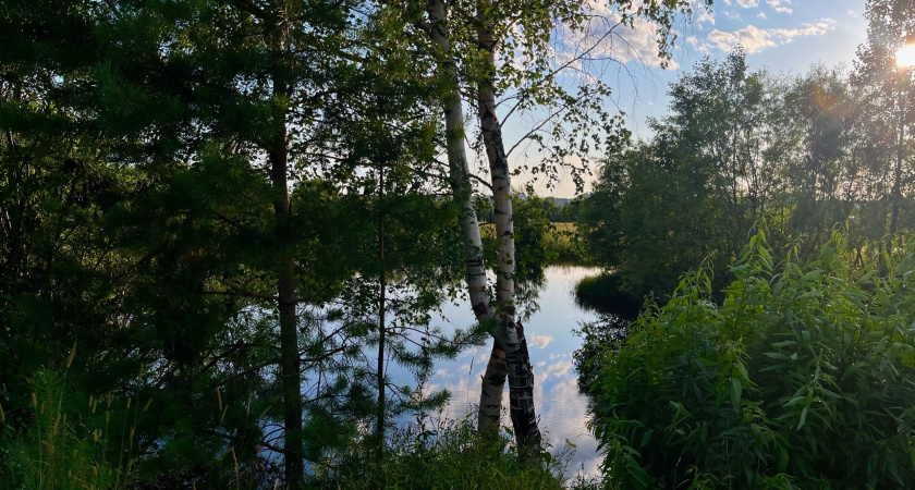 В Коми создадут новый заповедник "Очьпарма" для защиты уникальных ландшафтов Тимана