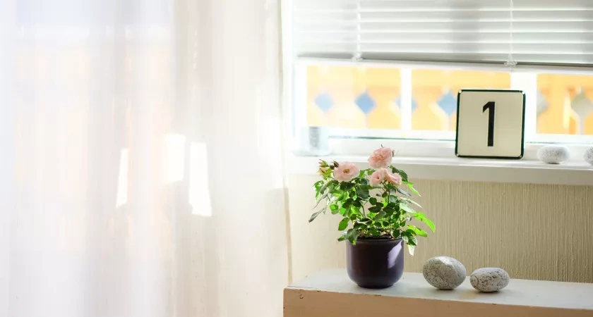 Тюль побелеет через 20 минут: всыпаю в барабан 10 граммов - и на деликатный режим