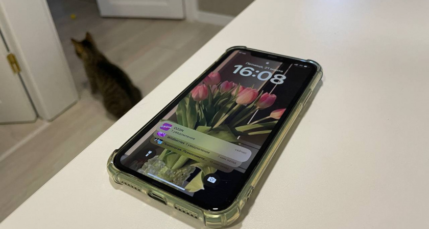 Простая хитрость, как определить, кто звонит с номера 900 - Сбербанк или мошенники