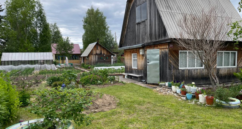 Финны точно определили оптимальную площадь дома и дачи. Немцы согласны. Американцы высмеяли. А как в России?