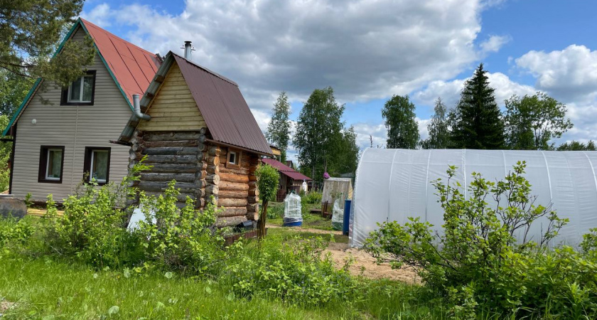 Сосед пришёл со странной просьбой: наглость — второе счастье или это новый вид тараканов в голове?