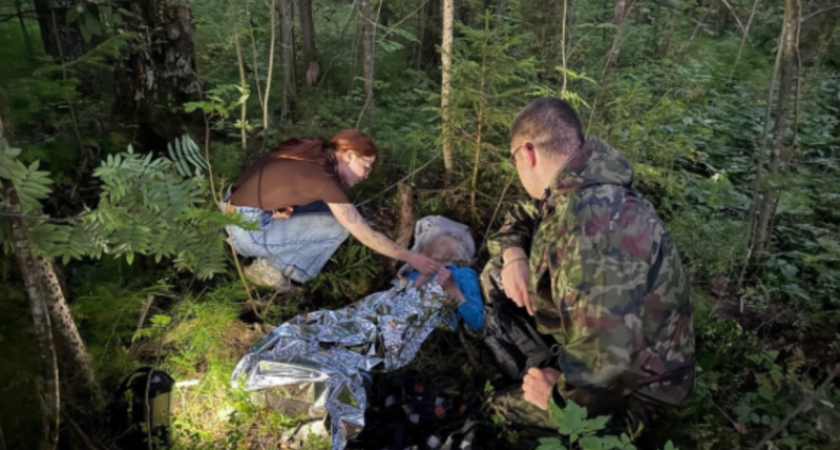 Добровольцы "ЛизаАлерт" обнаружили пропавшую 89-летнюю пенсионерку в овраге в Коми 