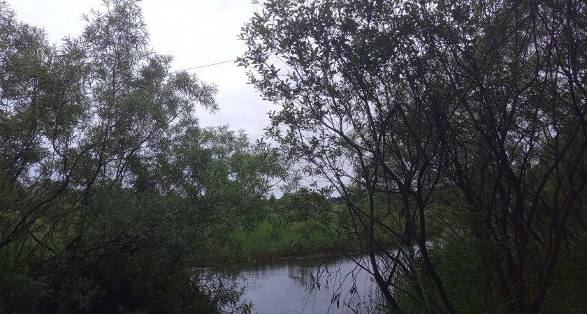 В Коми за выходные зафиксированы два случая гибели людей на воде