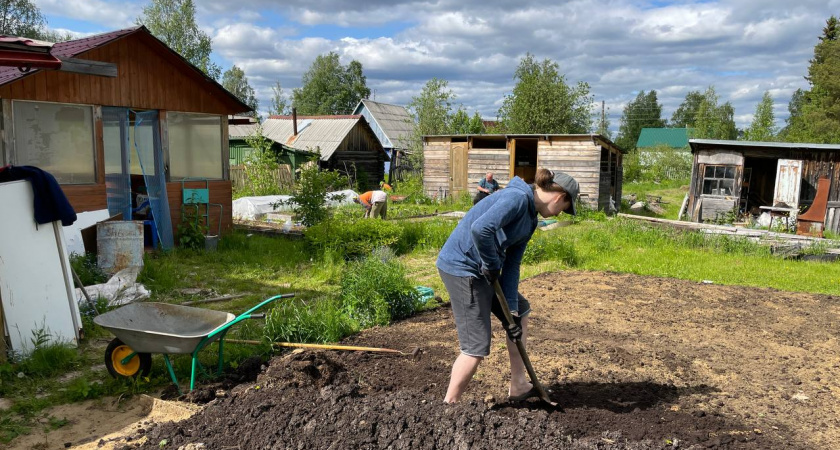 Вот что делаю с картофелем в августе, чтобы получить максимальный урожай - обработать, подкормить и не спешить выкапывать