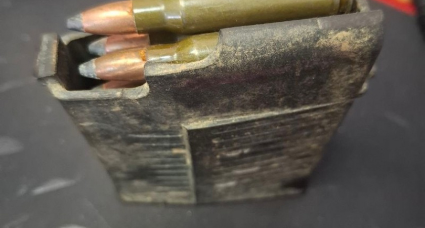 Житель Коми сдал в Росгвардию патроны, найденные в лесу