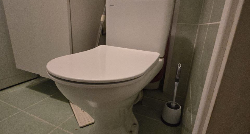 Засыпаю эти 2 средства в унитаз, утором сверкает как первый снег: есть на кухне у каждой хозяйки