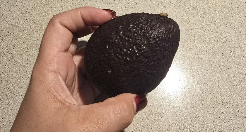 Твердый авокадо больше не испортит ужин: вот как "дозреть" фрукт всего за минуту