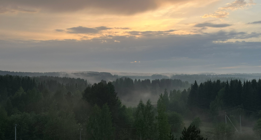 Синоптики предупредили о тумане и дождях в Коми 7 августа