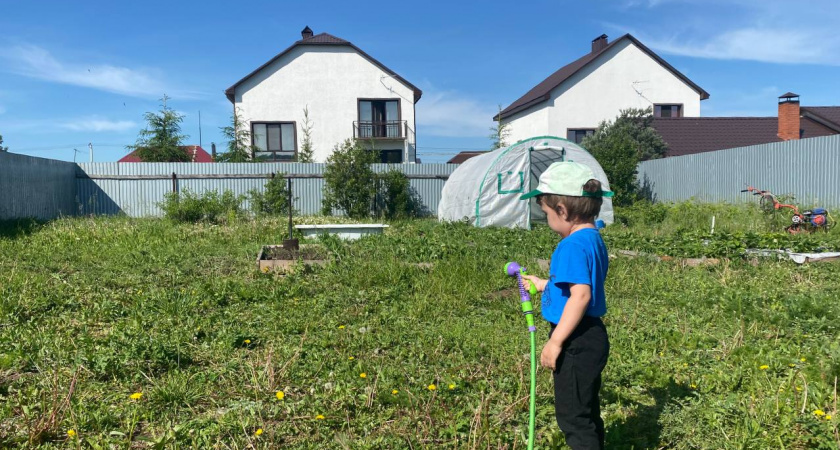 1 раз так полила и обалдела: трава не растет весь сезон — про сорняки на садовой дорожке забыла как «страшный сон»