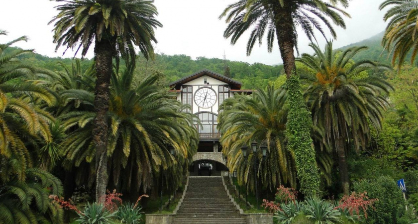 Съездили в Абхазию: почему Страна души перестала быть дешевым направлением - откровения русского туриста