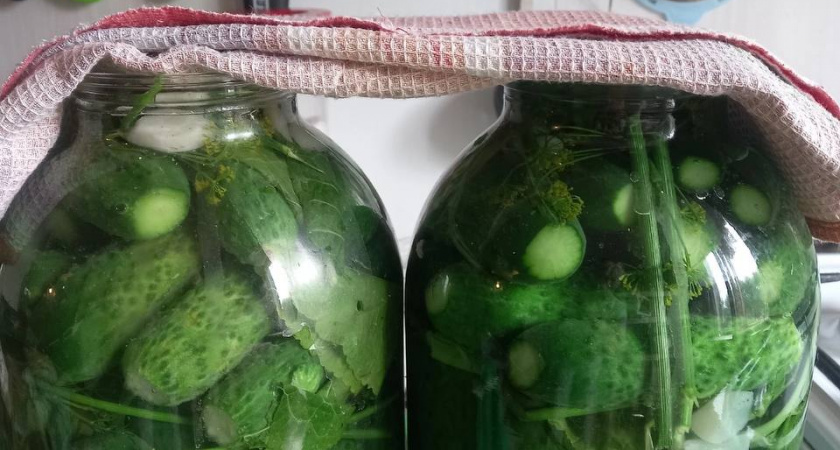 Огурцы на зиму закрываю только так - не остается даже рассола. Все, кто пробует, просят рецепт - это лучшие хрустящие огурчики
