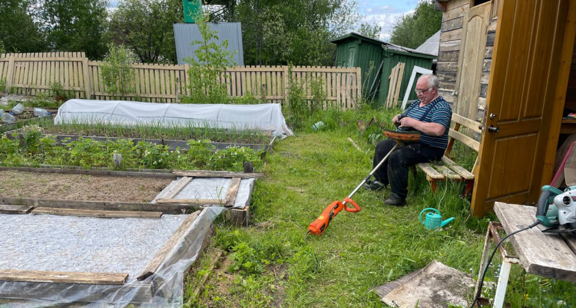 "И зачем так мучиться, убери леску с триммера": сосед из деревни подсказал, как легко косить траву и не тратиться на дорогую леску