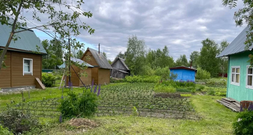 Фото к статье: Наконец нашел идеальное решение, чем закрыть дорожки между грядок в огороде - бюджетный способ, и сорняки больше не надоедают