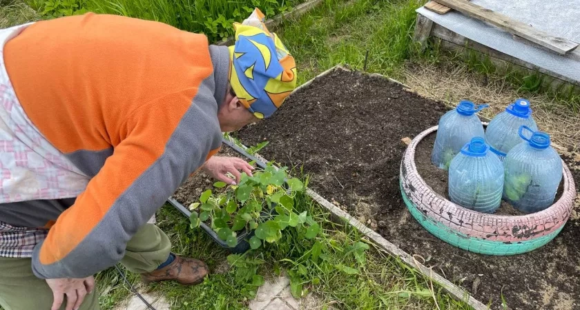 Только прожив 3 года в деревне, поняли, что тут нужно зарабатывать далеко не сельским хозяйством - такие суммы в городе нам только снились