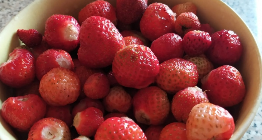 Клубнику теперь собираю тазами используя простой трюк: понадобятся резинки