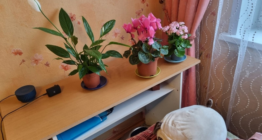 Цветы на подоконнике и клеёнка на столе — пережитки советского прошлого, которые вы ещё храните