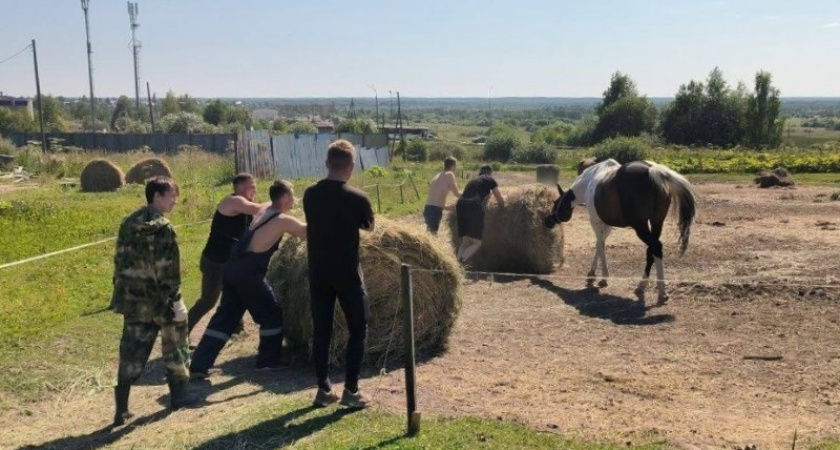 Осужденные в Коми проходят реабилитацию через общение с лошадьми