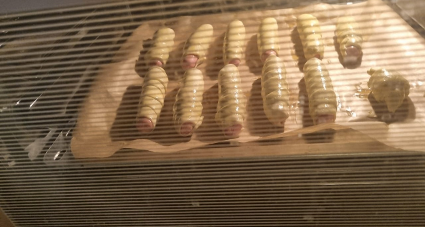 Эти 3 блюда, стоит избегать после 55 - нанесут поджелудочной невосполнимый урон