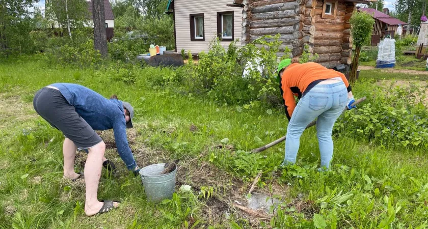 Фото к статье: Прополка больше не нужна: этот отвар справится с сорняками лучше любого гербицида — метод предложила агроном Давыдова