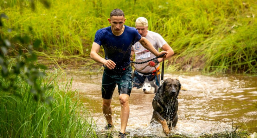 Кинолог МВД Коми и его спаниель Альфа победили в экстремальном забеге "Дог Трейл"