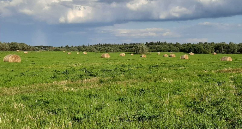 В Коми активно ведется заготовка кормов на зиму