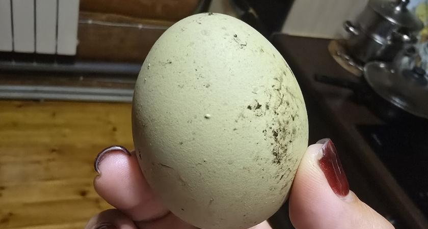 Чищу яйцо за 2 секунды: без пленок и лишней мороки - показал еще учитель физики