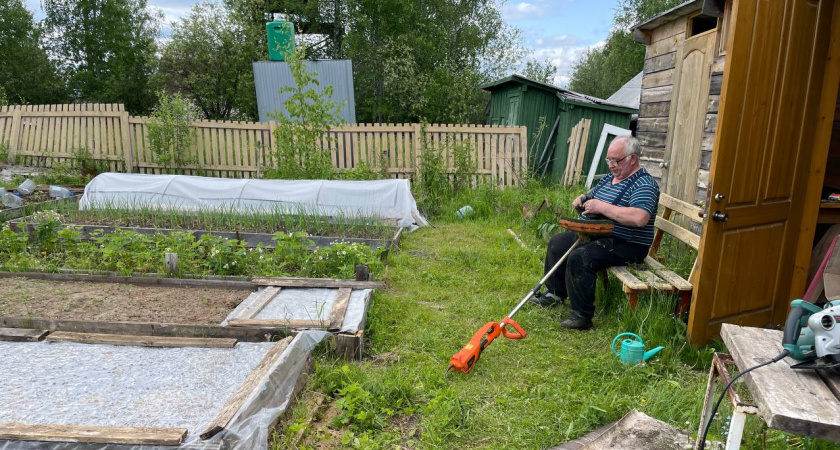 "И зачем так мучиться, убери леску с триммера": сосед из деревни подсказал, как легко косить траву и не тратиться на дорогую леску