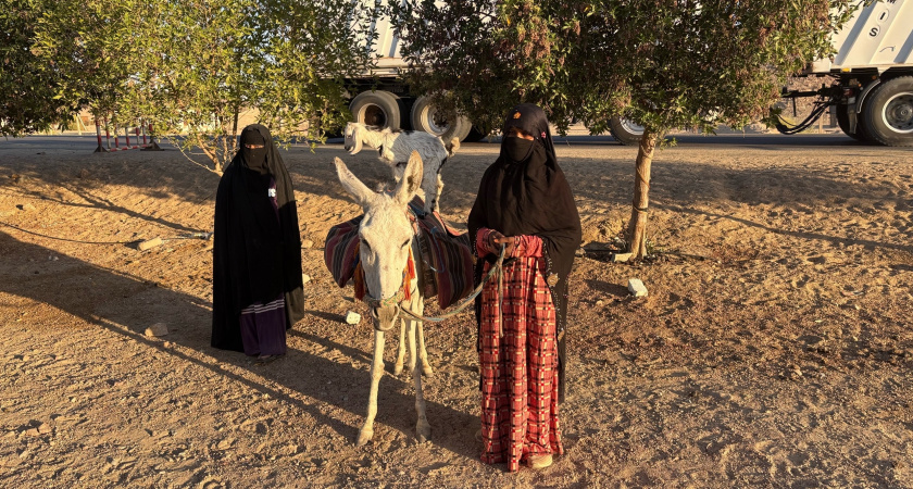 Народы без государства: 5 крупнейших наций, живущих без своей страны