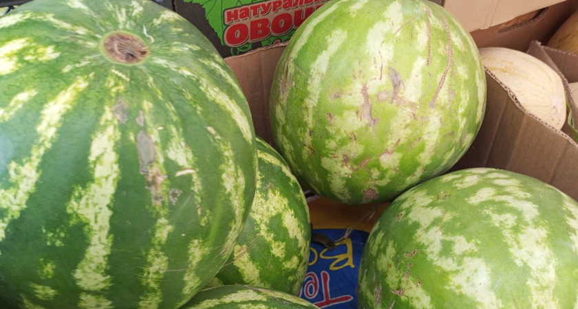 Из тонны арбузов всегда выбираю самый спелый и сахарный по одному только признаку