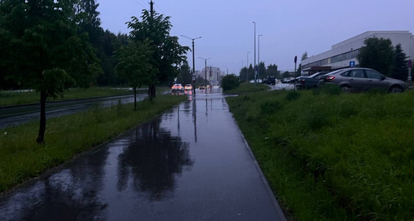 17 августа в Коми синоптики предупреждают о тумане утром и грозах