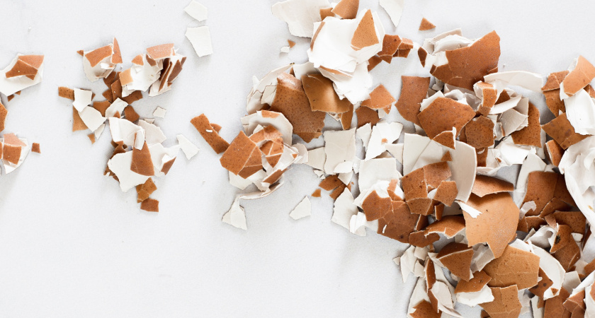 Яичную скорлупу больше не выкидываю: превращаю отходы в пользу на огороде - вот способы