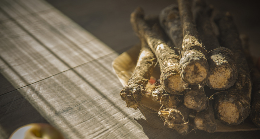 Хрен и зола спасут урожай: средство, проще и эффективнее которого уже не придумать