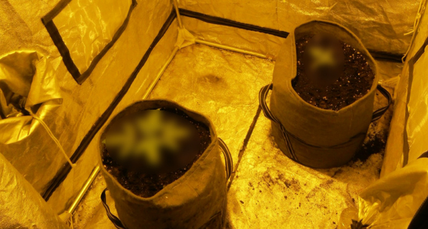 В Коми полиция ликвидировала нарколабораторию в жилой квартире