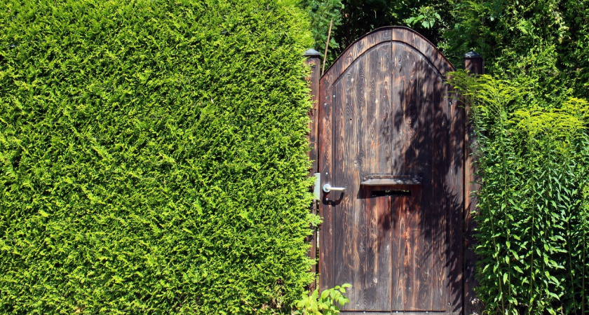 Идеальное ограждение для вашего участка: профлист уходит в прошлое — современный элегантный способ создать приватность 
