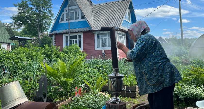 У меня в морозильнике всё лето лежит пакет кефира. И это «волшебный пинок» для урожая, рассказываю