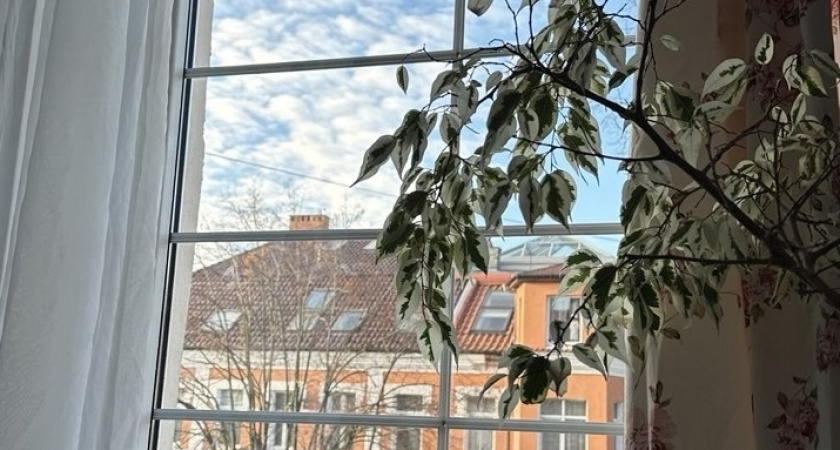 Одна ложка этого грошевого средства: стекла и зеркала сияют как во дворце - без разводов и катышков от тряпки