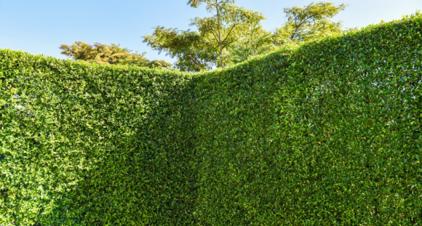 Красивое и практичное ограждение на даче сделали за день, на все потратили минимальную сумму: соседи обзавидовались