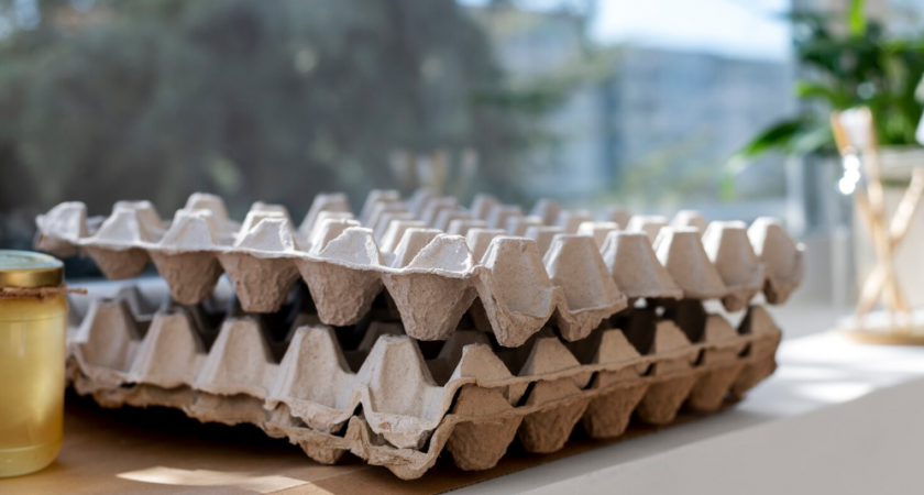 Как лоток для яиц пригодится в прихожей? Соседка дала дельный совет на эту осень