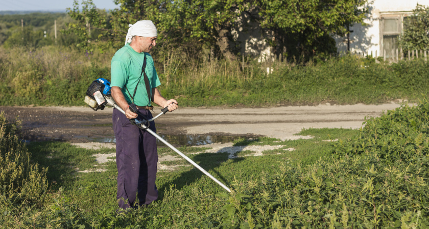 "Леску с триммера сними и все": сосед из деревни подсказал, как правильно косить траву и не тратиться на дорогую леску