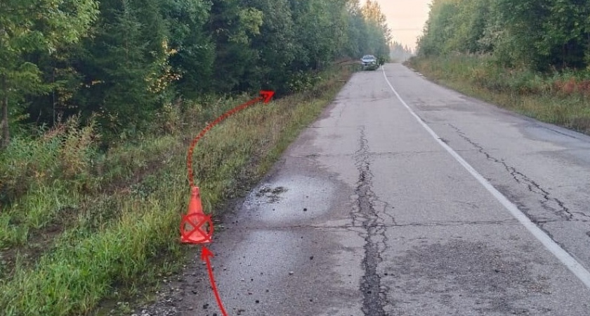 В Коми пьяный водитель отправил иномарку в кювет