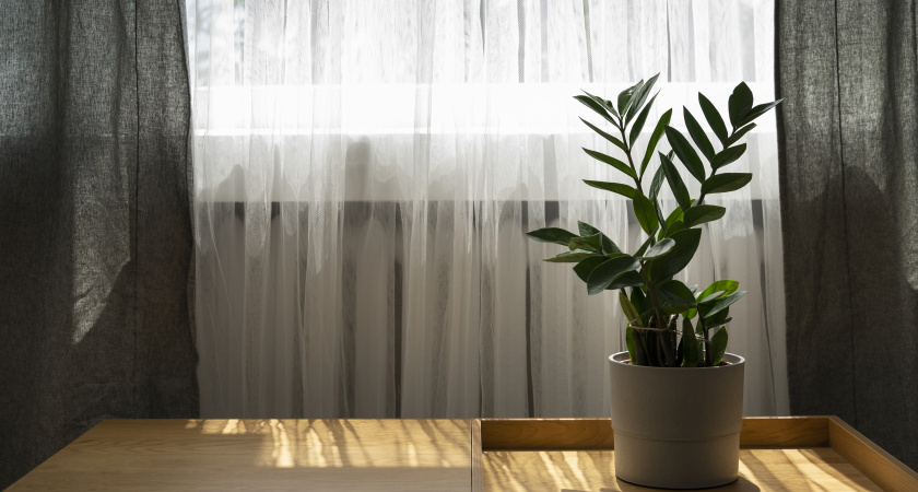 Урожай храню под занавеской: почему смешной совет оказался золотым лайфхаком