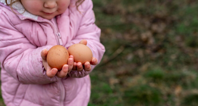 Туристы закапывают куриное яйцо в землю и ждут 30 минут: необычный лайфхак, который работает