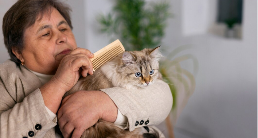 Как приготовить натуральный корм для кошки своими руками