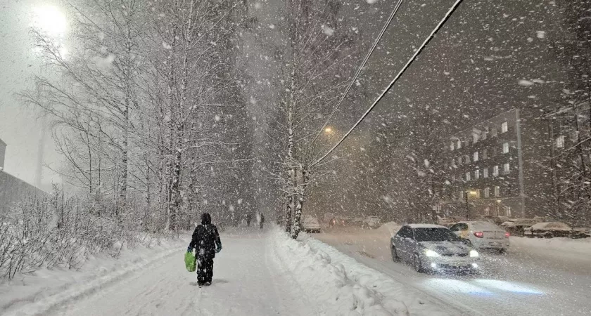 Зима-2026 будет по-настоящему аномальной: синоптики рассказали, к чему готовиться россиянам