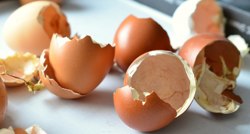 Золото из кухни: удобрение из отходов — после подкормки сад будет радовать урожаем круглый год