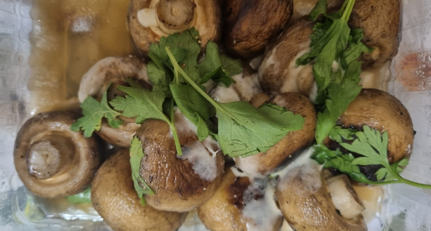 Больше не ищу белые грибы, отдаю предпочтение колосовикам: многие их недооценивают, а зря