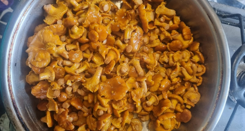 Готовлю это грибной суп каждую осень: делюсь секретами для приготовления грибных блюд - превращают лесные находки в кулинарный шедевр