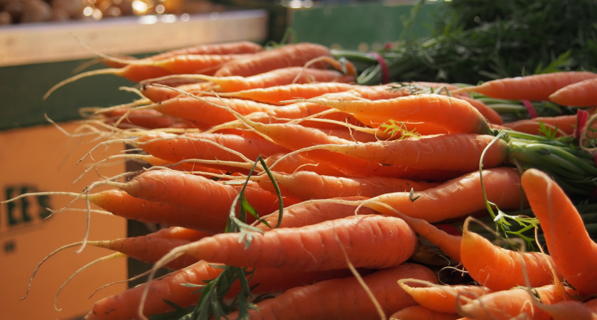 Храню морковь до самой весны — не морщинится, остается хрустящей и сочной: хитрость опытной хозяйки