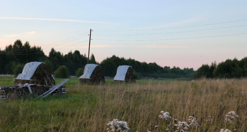 В Коми собрали рекордное количество сена, несмотря на дожди